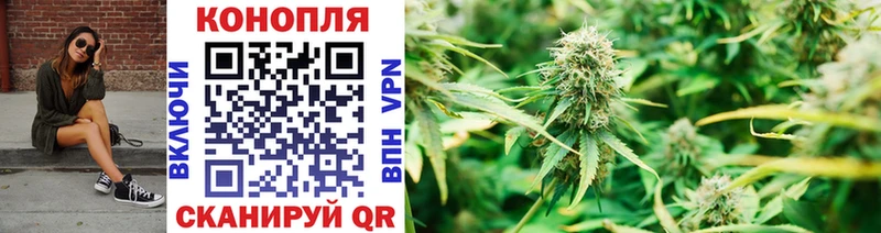 наркота Покачи гидра ССЫЛКА Марихуана OG Kush